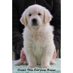 Mr Blue 7 Weeks_1.jpg